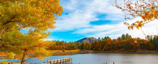 Julian Property Management